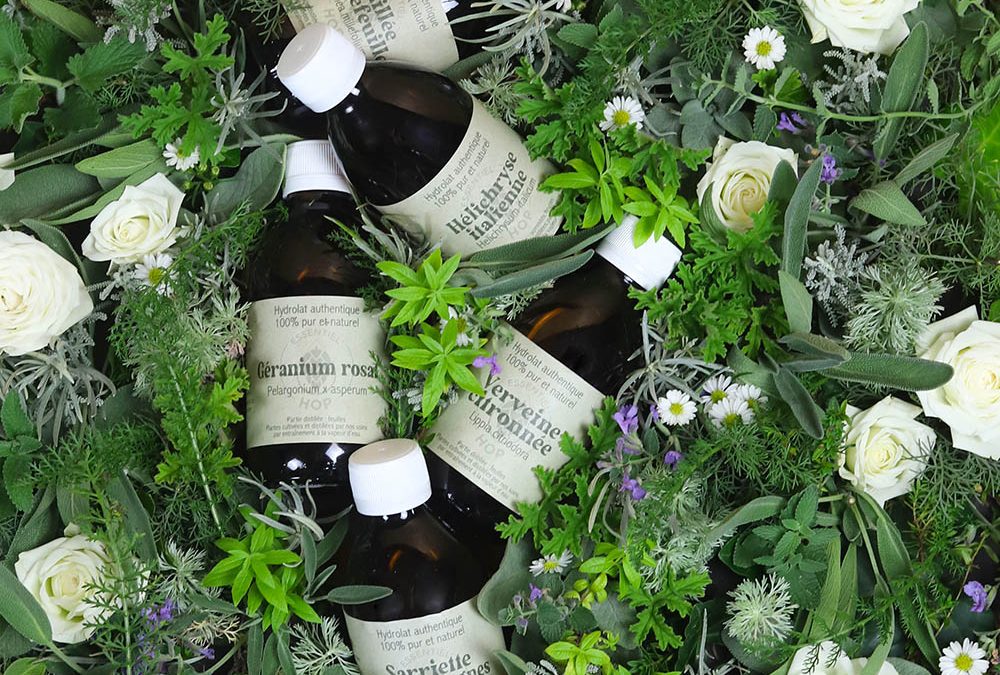 Conservation eaux florales : comment préserver leur qualité naturellement