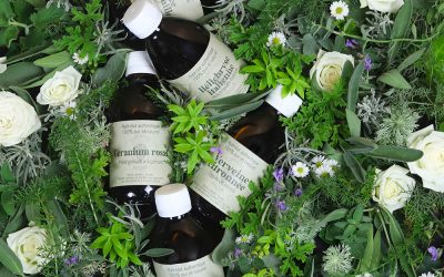 Conservation eaux florales : comment préserver leur qualité naturellement