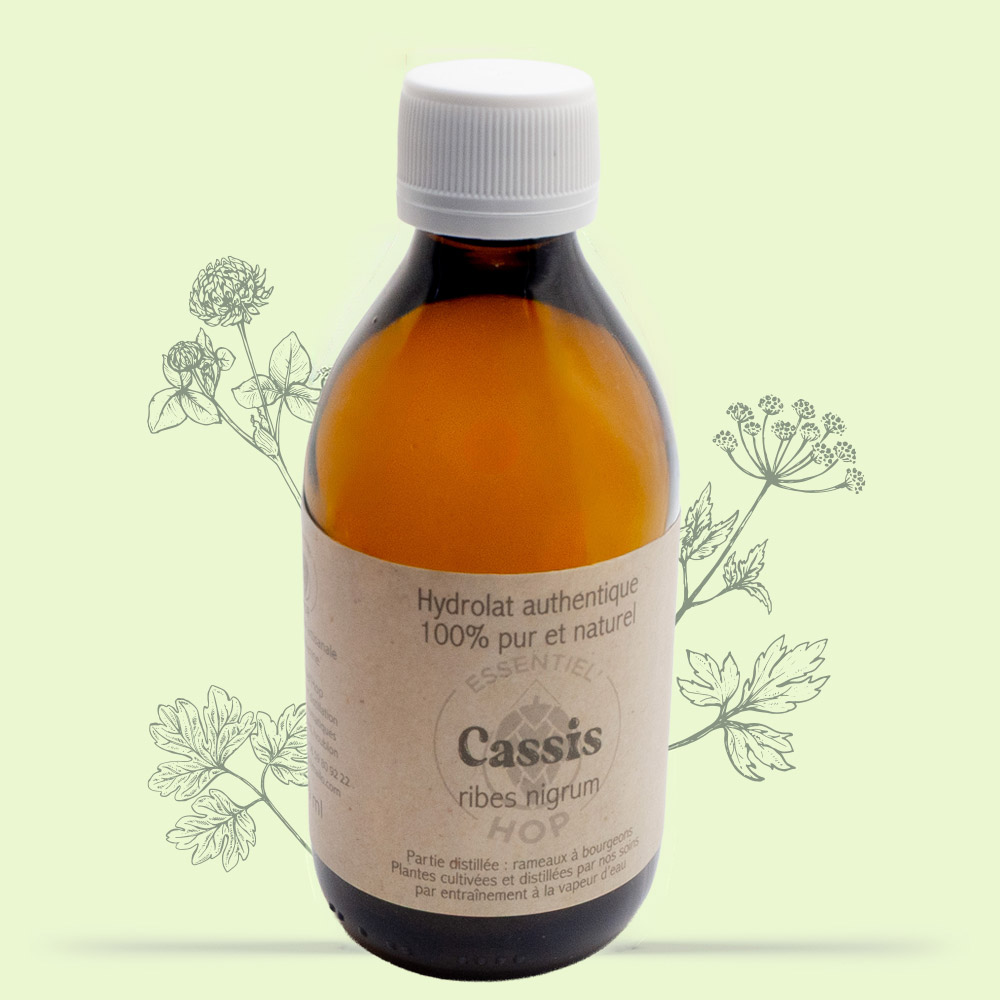 hydrolat cassis 250 ml OK