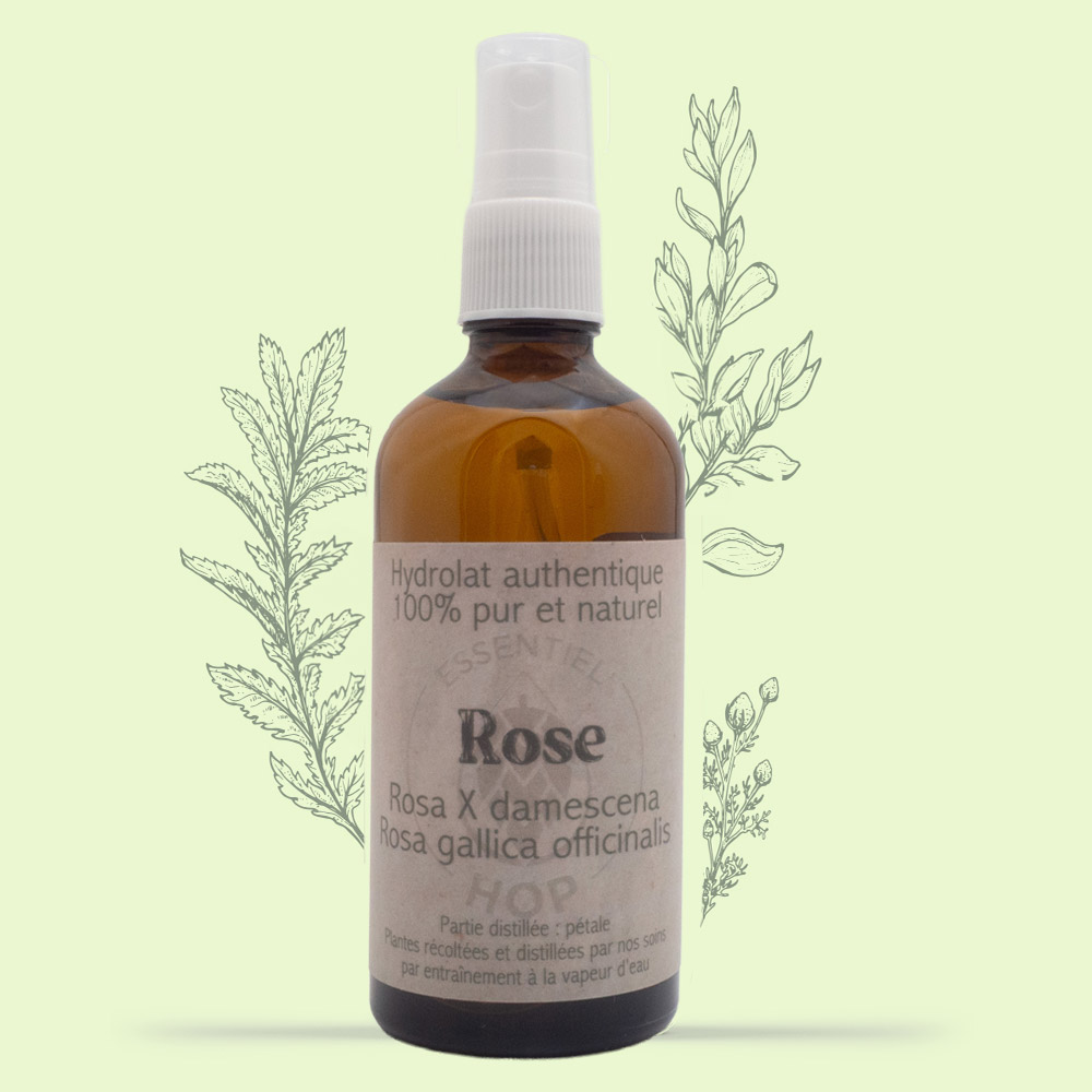 synergie hydrolat rose spray 100 ml OK